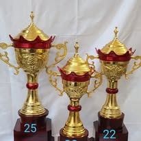 Awards &amp; Achievements